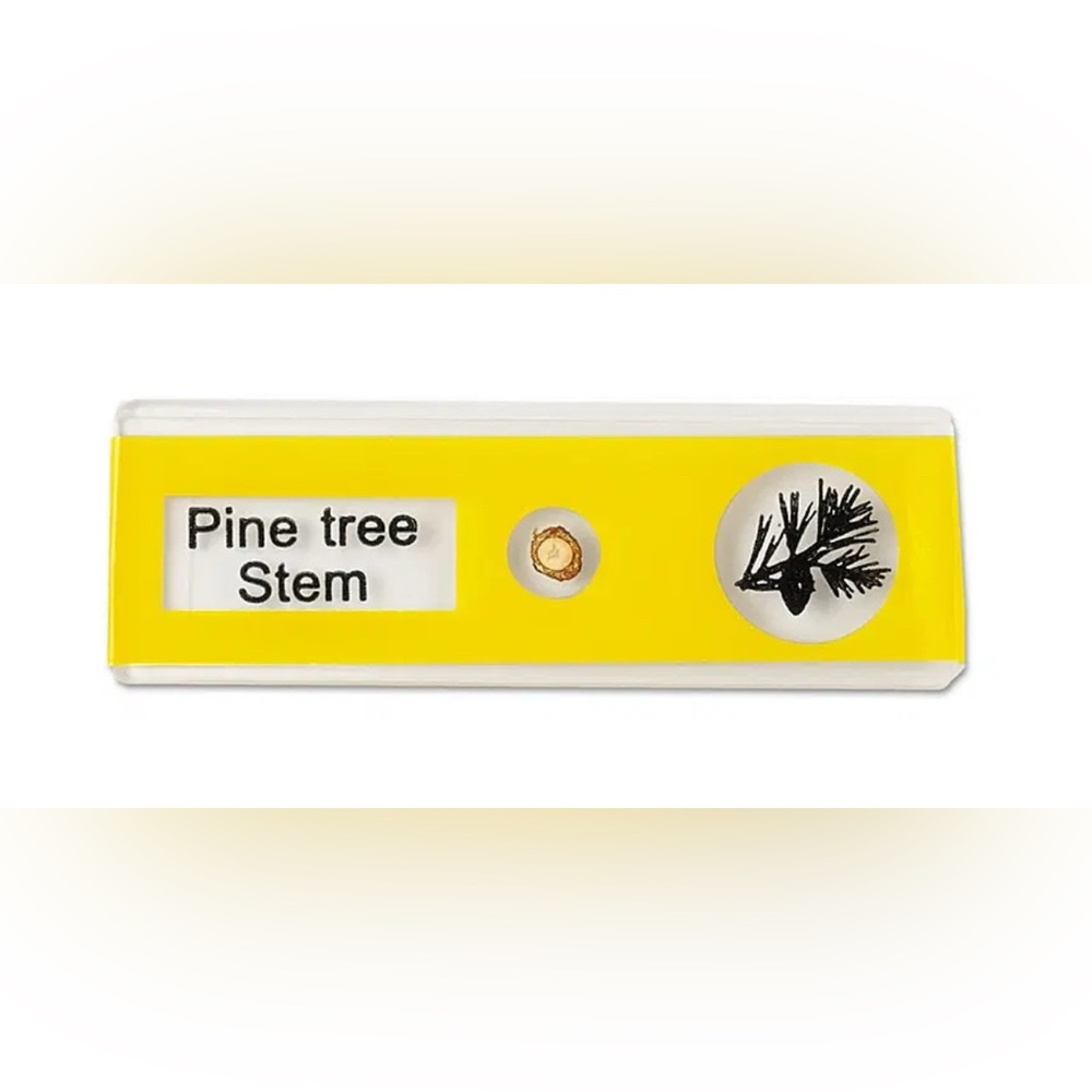NEW! Prepared Microscope Slides by Lakeshore Learning - unused, still in boxes - Picture 7 of 11